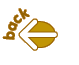 back icon