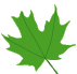 contact us leaf 2