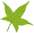 contact us leaf 3