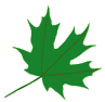 welcome leaf 1