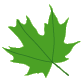 welcome leaf 3