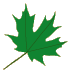 preschool 3 leaf 1