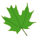 preschool 3 leaf 2