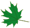 preschool 3 leaf 3