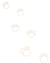 pre-school footsteps