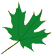 preschool 3 leaf 1