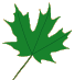 preschool paint leaf 1