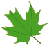 preschool paint leaf 2