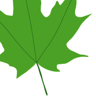 welcome leaf