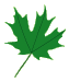 welcome leaf 1