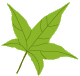 welcome leaf 3