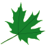 welcome leaf 4
