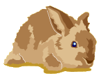 woodlands rabbit