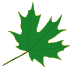 woodlands 3 leaf 2