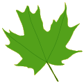 woodlands leaf 2