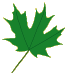 woodlands paint leaf 1