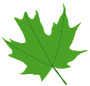 about_us_leaf_3